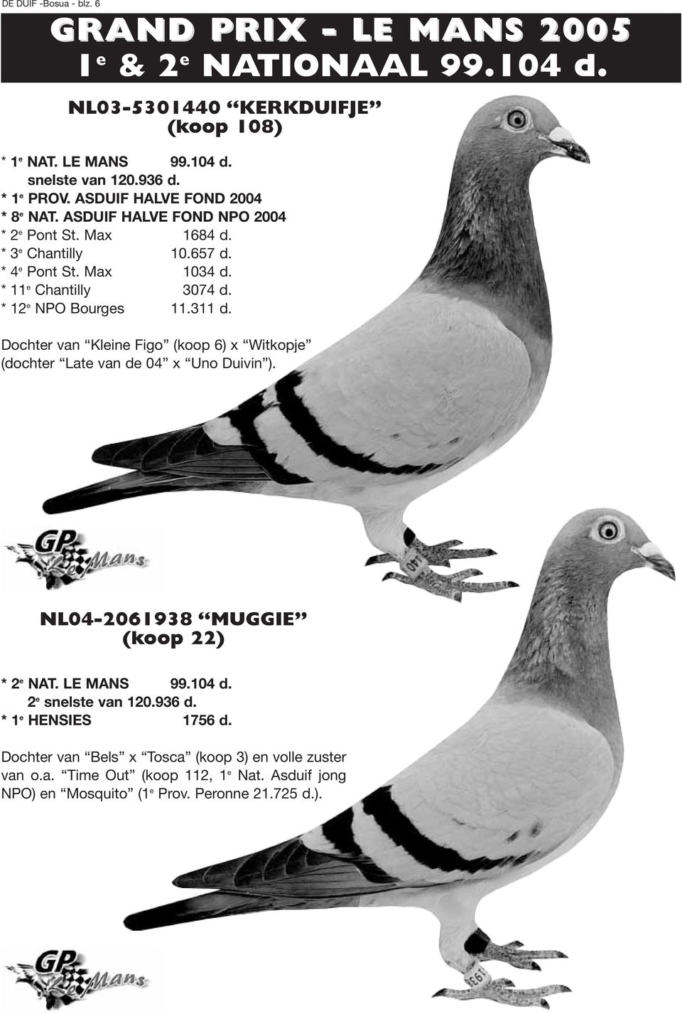 * 12 e NPO Bourges 11.311 d. Dochter van Kleine Figo (koop 6) x Witkopje (dochter Late van de 04 x Uno Duivin ). NL04-2061938 MUGGIE (koop 22) * 2 e NAT. LE MANS 99.104 d.