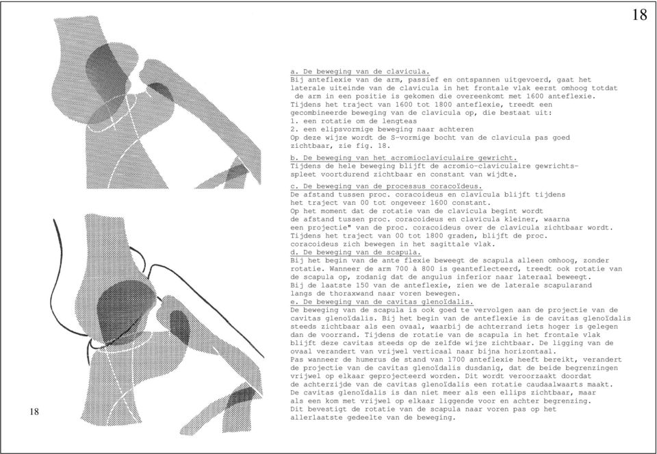 1600 anteflexie. Tijdens het traject van 1600 tot 1800 anteflexie, treedt een gecombineerde beweging van de clavicula op, die bestaat uit: 1. een rotatie om de lengteas 2.