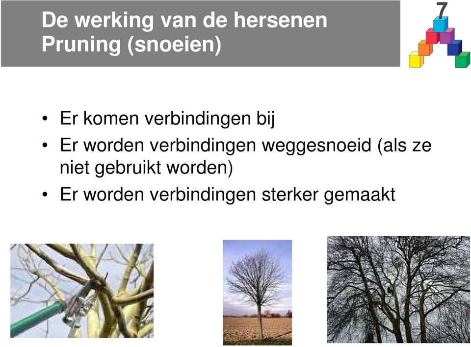 worden verbindingen weggesnoeid (als ze