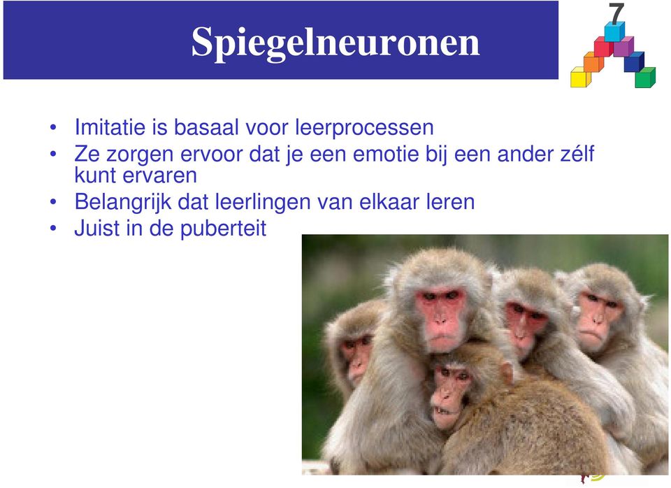 emotie bij een ander zélf kunt ervaren