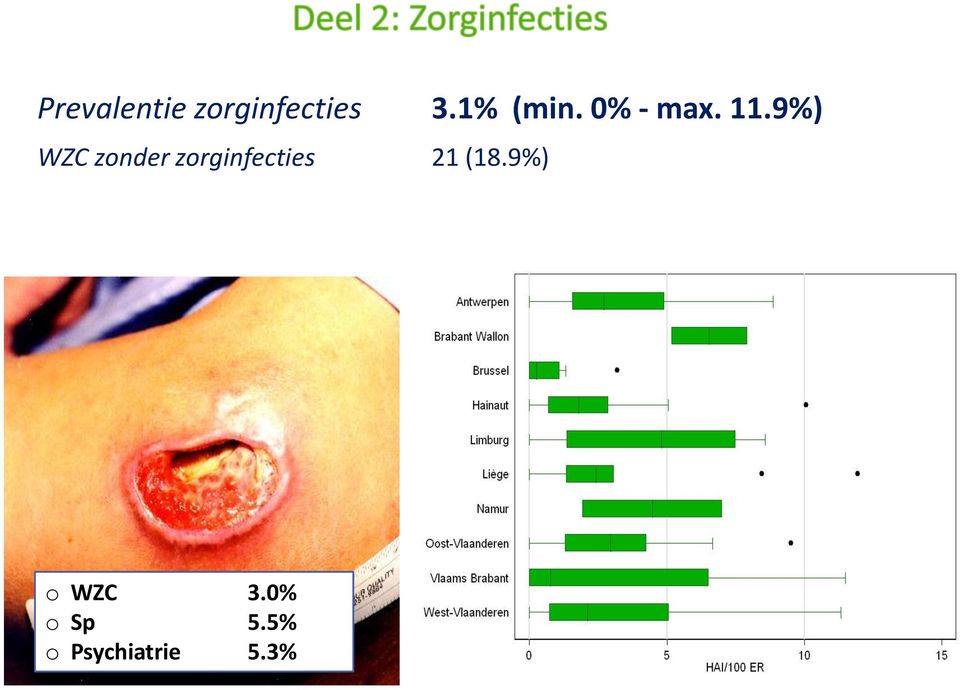 9%) WZC zonder zorginfecties 21