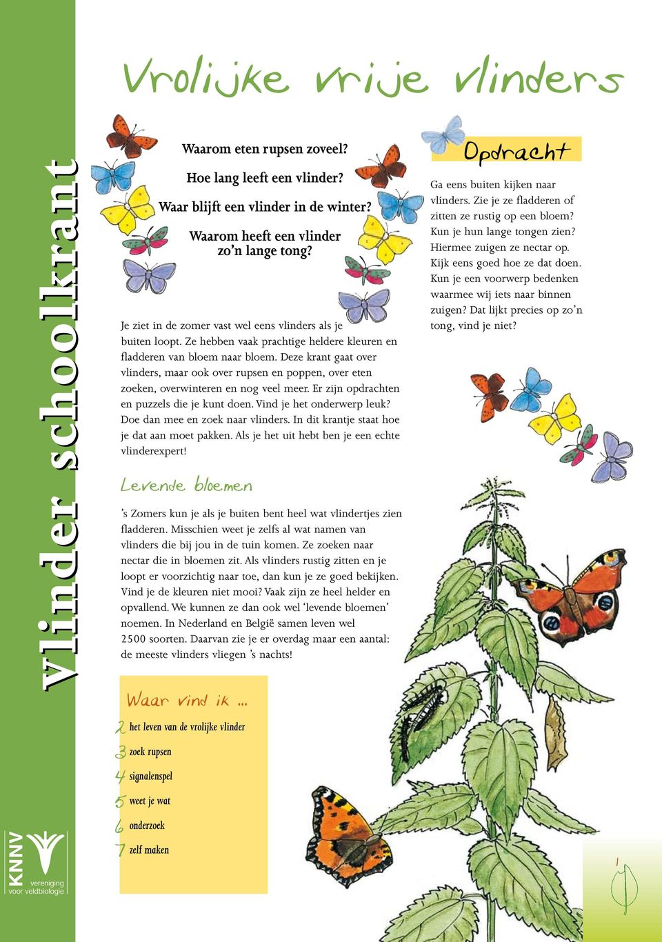 Doe dan mee en zoek naar vlinders. In dit krantje staat hoe je dat aan moet pakken. Als je het uit hebt ben je een echte vlinderexpert!