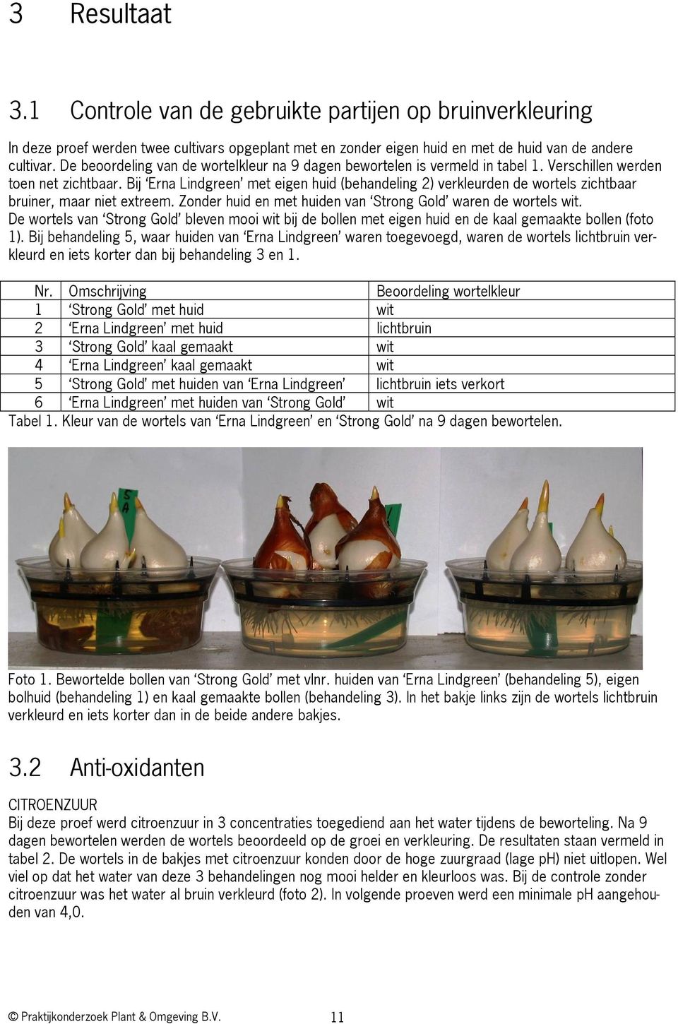 Bij Erna Lindgreen met eigen huid (behandeling 2) verkleurden de wortels zichtbaar bruiner, maar niet extreem. Zonder huid en met huiden van Strong Gold waren de wortels wit.