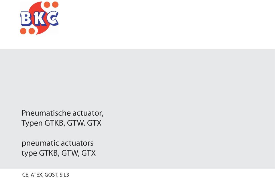 pneumatic actuators type
