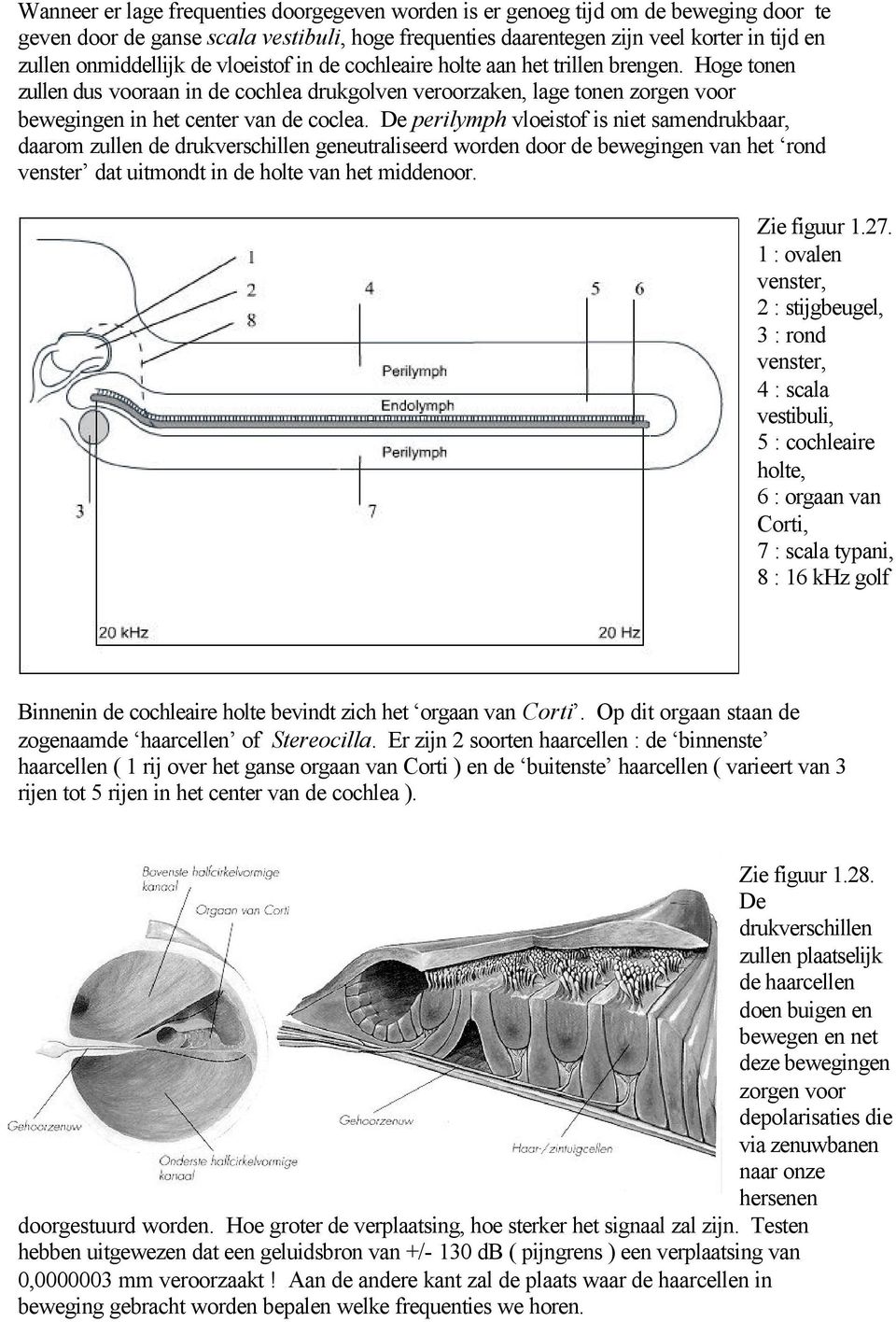 Hoge tonen zullen dus vooraan in de cochlea drukgolven veroorzaken, lage tonen zorgen voor bewegingen in het center van de coclea.