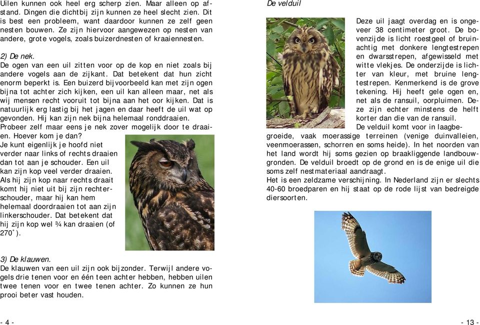 De ogen van een uil zitten voor op de kop en niet zoals bij andere vogels aan de zijkant. Dat betekent dat hun zicht enorm beperkt is.