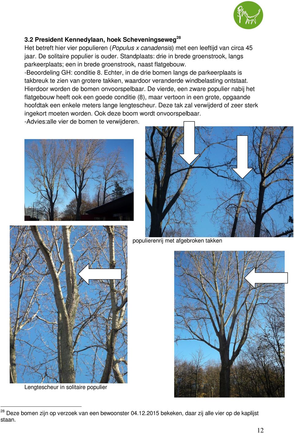Echter, in de drie bomen langs de parkeerplaats is takbreuk te zien van grotere takken, waardoor veranderde windbelasting ontstaat. Hierdoor worden de bomen onvoorspelbaar.