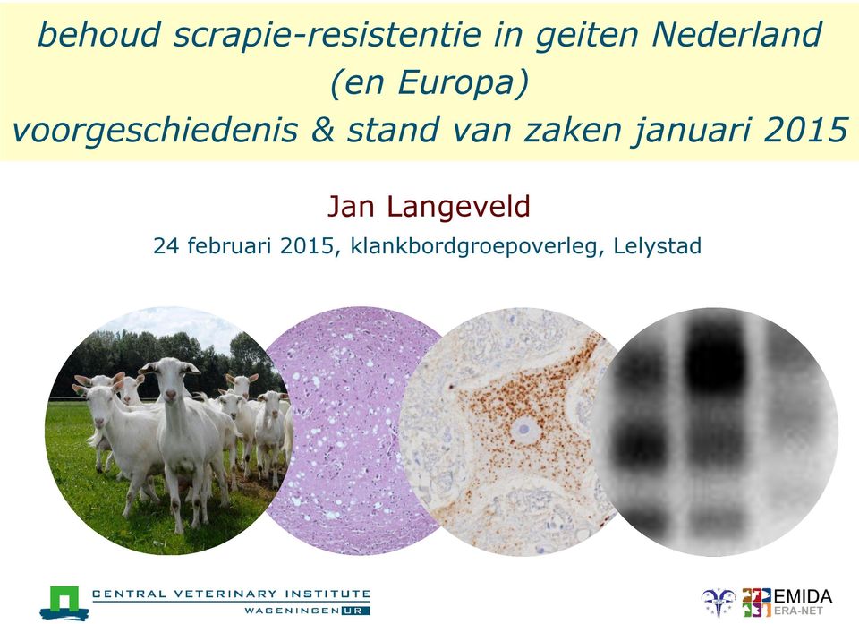 stand van zaken januari 2015 Jan Langeveld