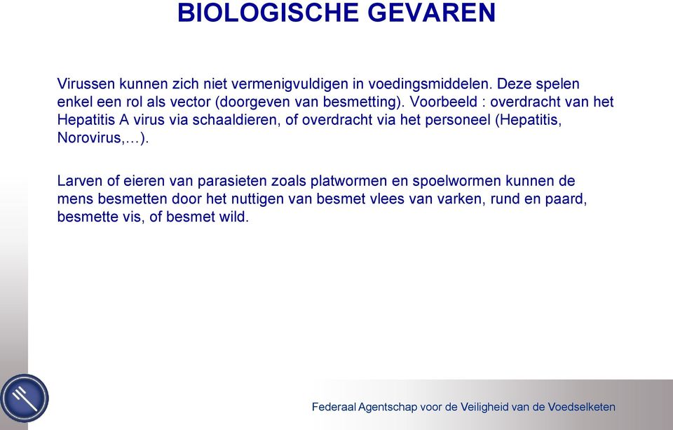 Voorbeeld : overdracht van het Hepatitis A virus via schaaldieren, of overdracht via het personeel (Hepatitis,