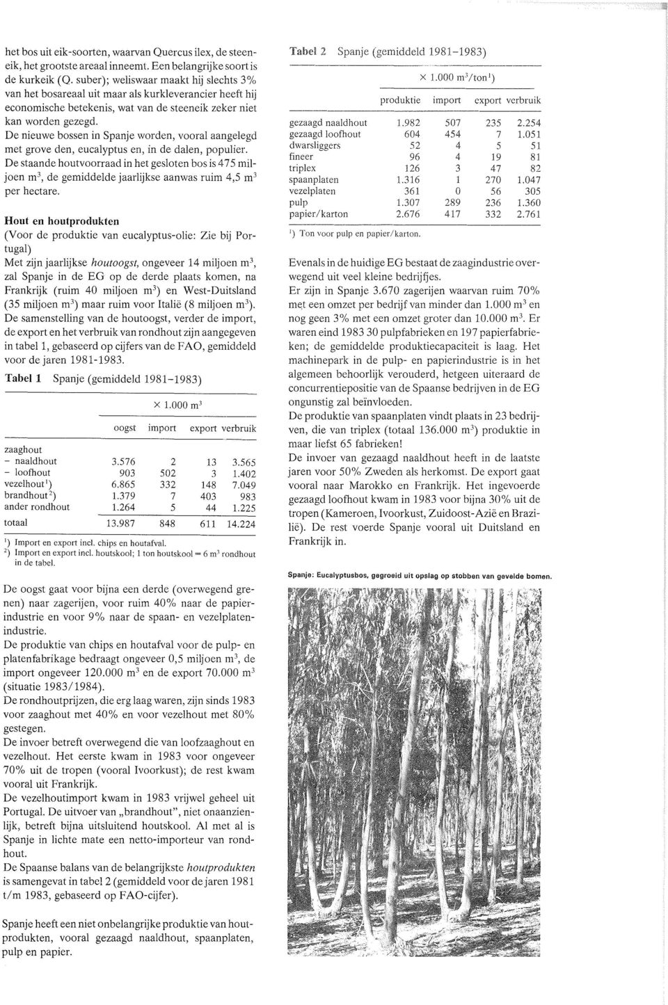 De nieuwe bossen in Spanje worden, vooral aangelegd met grove den, eucalyptus en, in de dalen, populier.