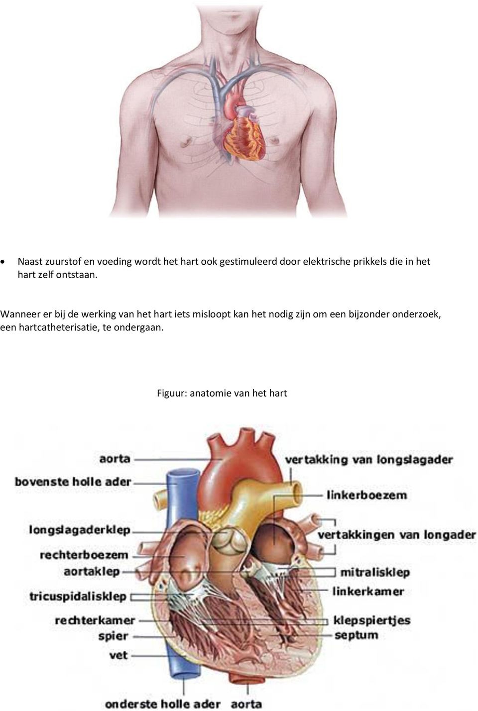 Wanneer er bij de werking van het hart iets misloopt kan het nodig