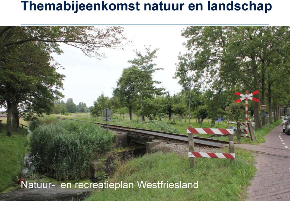 landschap Natuur-