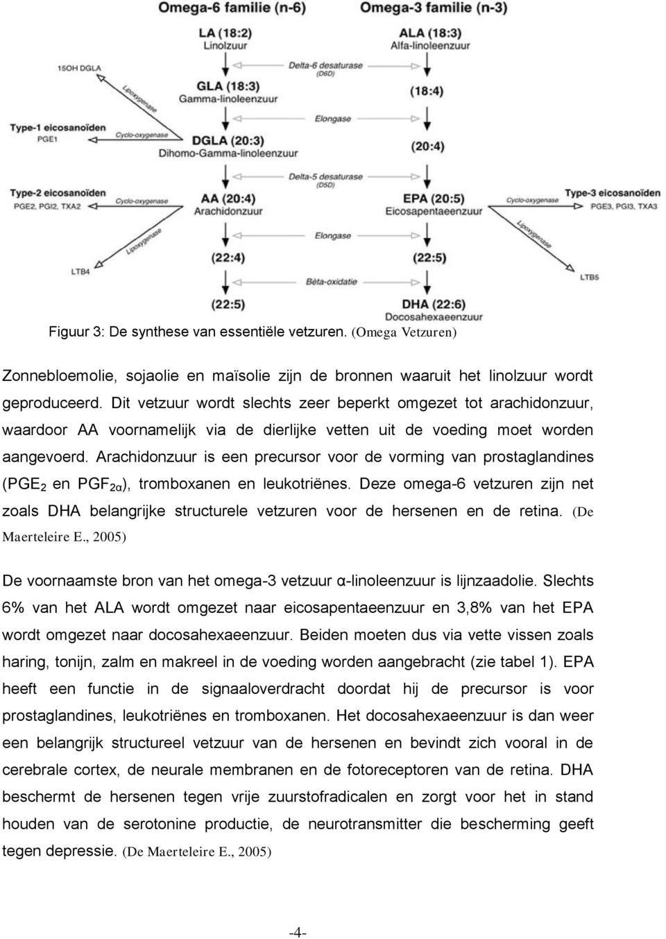 Arachidonzuur is een precursor voor de vorming van prostaglandines (PGE 2 en PGF 2α ), tromboxanen en leukotriënes.