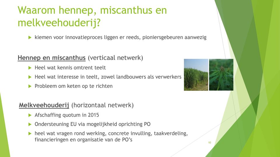 kennis omtrent teelt Heel wat interesse in teelt, zowel landbouwers als verwerkers Probleem om keten op te richten