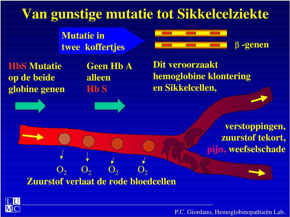 klontering en Sikkelcellen, verstoppingen, zuurstof tekort, pijn, weefselschade O 2