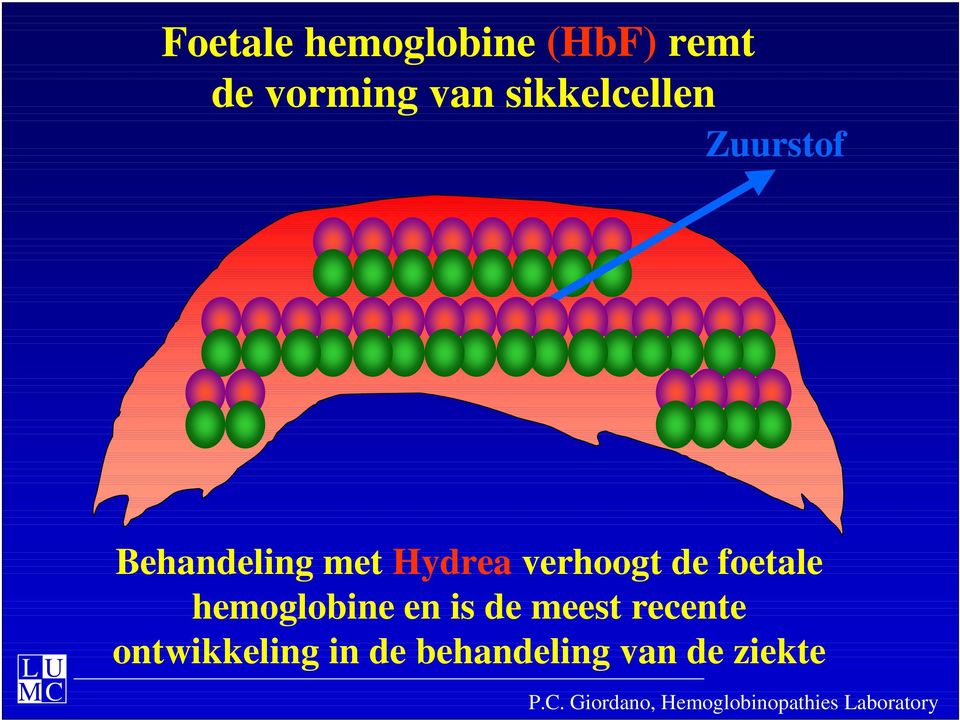 verhoogt de foetale hemoglobine en is de meest