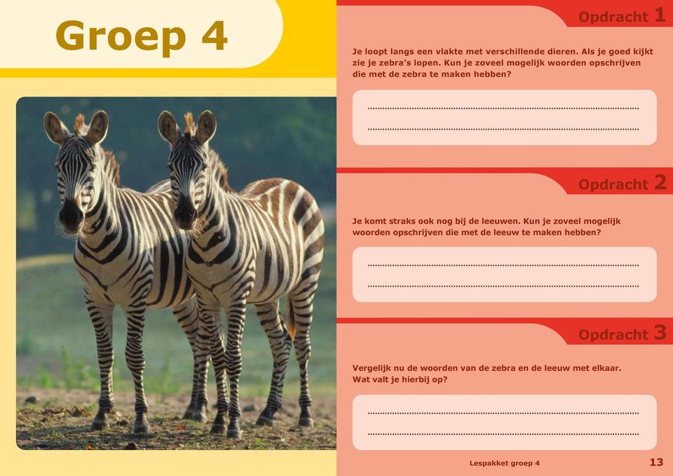 Kun je zoveel mogelijk woorden opschrijven die met de zebra te maken hebben?