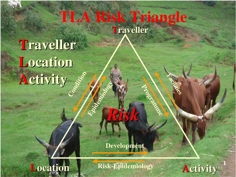 Epidemiology Risk Programme