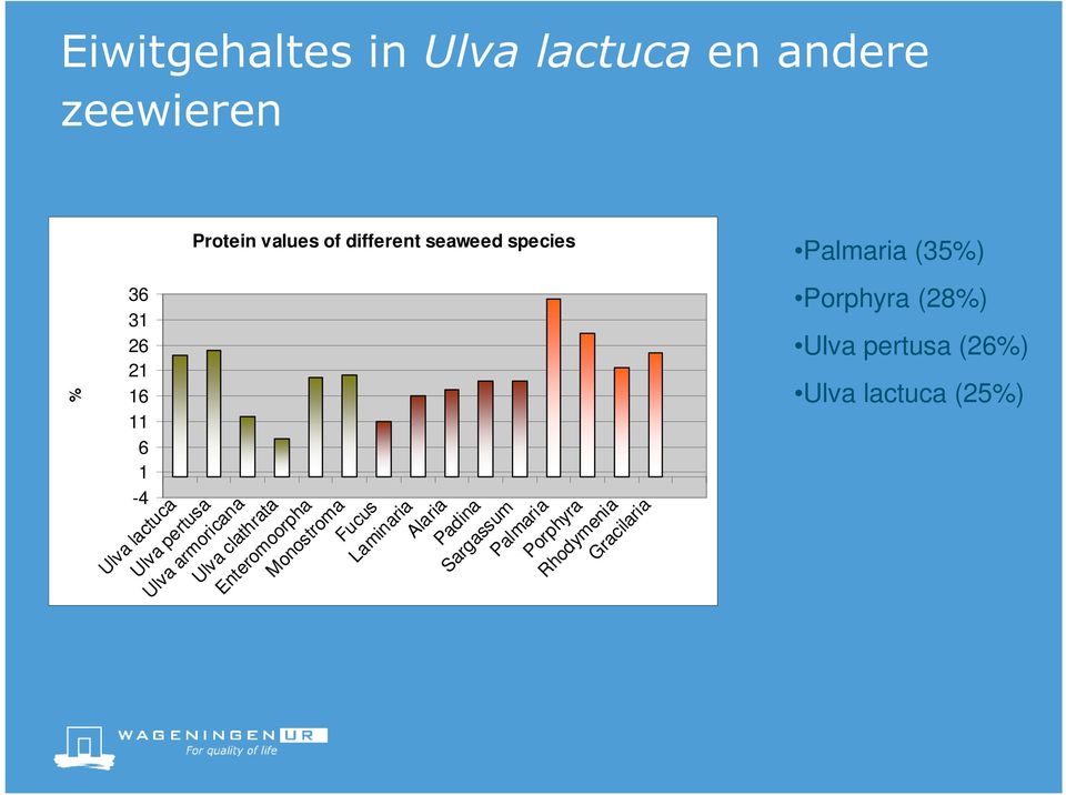 lactuca (25%) % Ulva lactuca Ulva pertusa Ulva armoricana Ulva clathrata Enteromoorpha