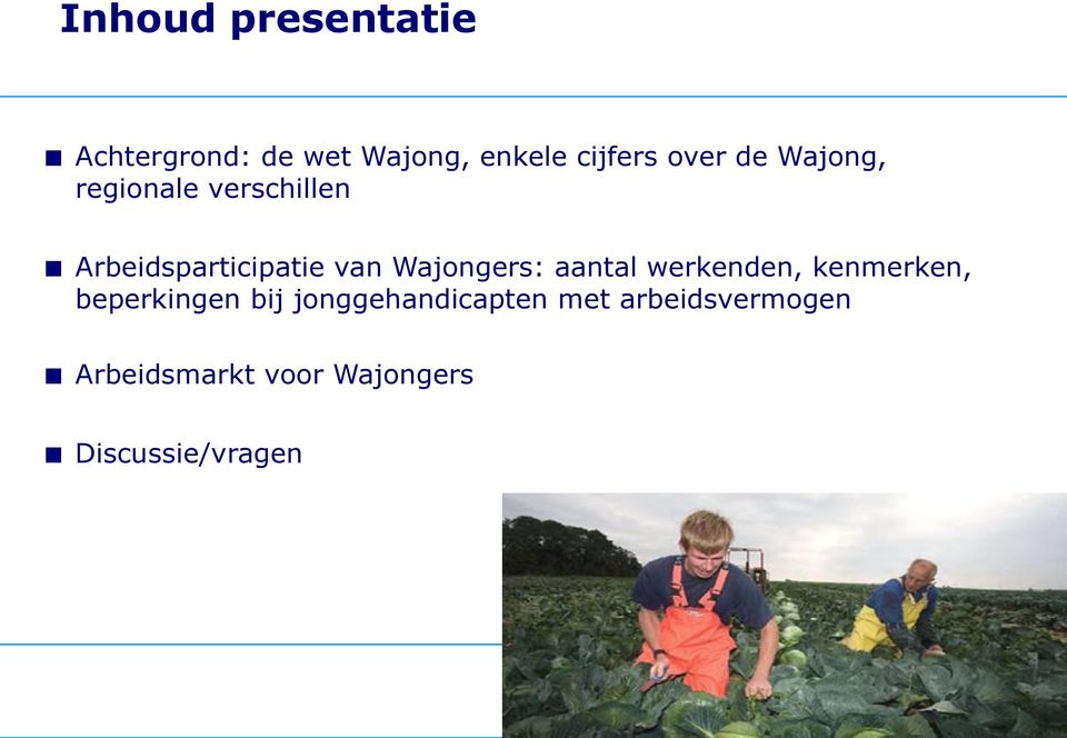 Wajongers: aantal werkenden, kenmerken, beperkingen bij