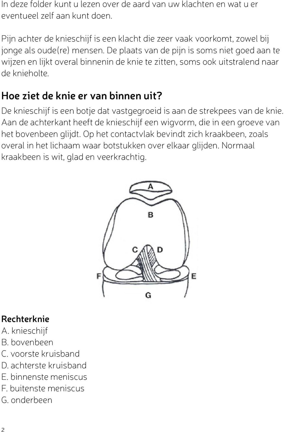 De knieschijf is een botje dat vastgegroeid is aan de strekpees van de knie. Aan de achterkant heeft de knieschijf een wigvorm, die in een groeve van het bovenbeen glijdt.