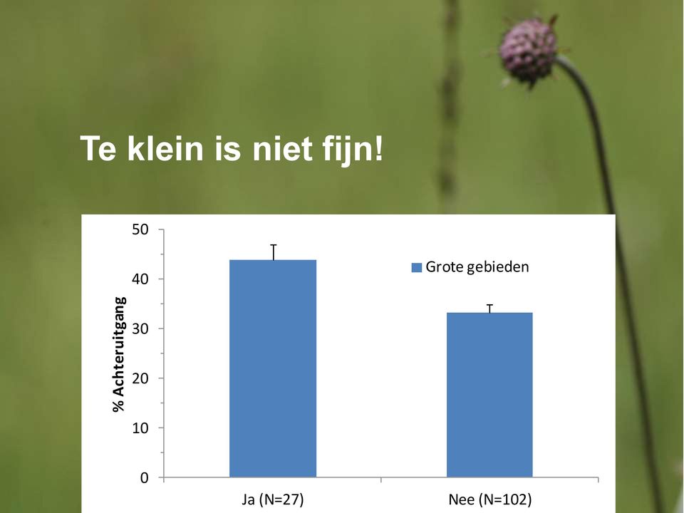 50 40 Grote gebieden