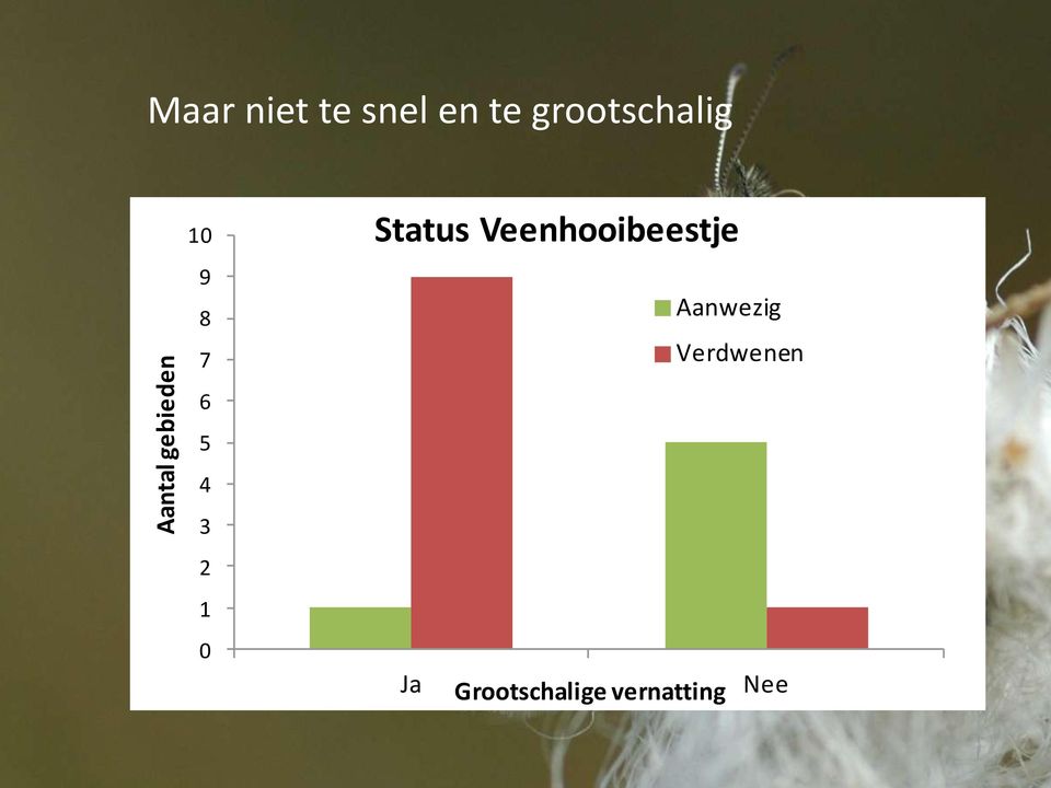 0 Status Veenhooibeestje Aanwezig