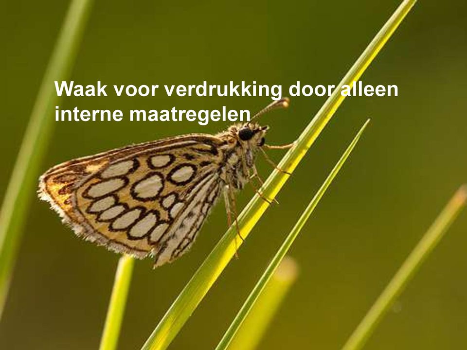 door alleen