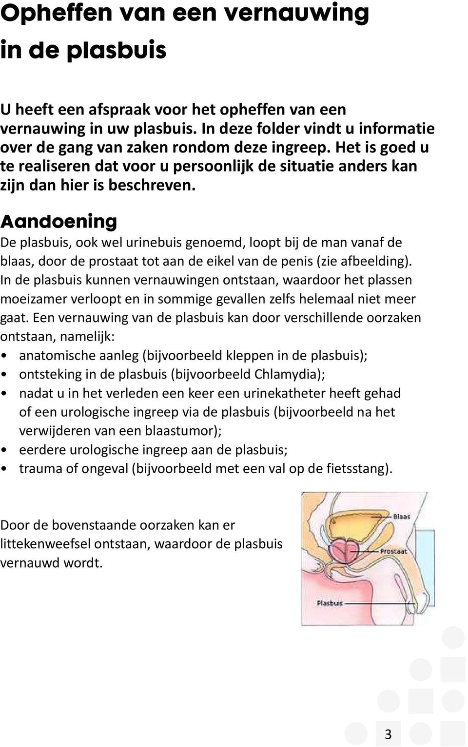 Aandoening De plasbuis, ook wel urinebuis genoemd, loopt bij de man vanaf de blaas, door de prostaat tot aan de eikel van de penis (zie afbeelding).