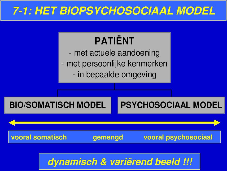 omgeving BIO/SOMATISCH MODEL PSYCHOSOCIAAL MODEL vooral