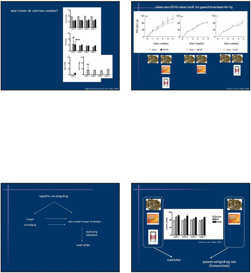 la Fleur ea, Int J Obes, 2009 la Fleur ea, Int J Obes, 2009 regulatie van eetgedrag