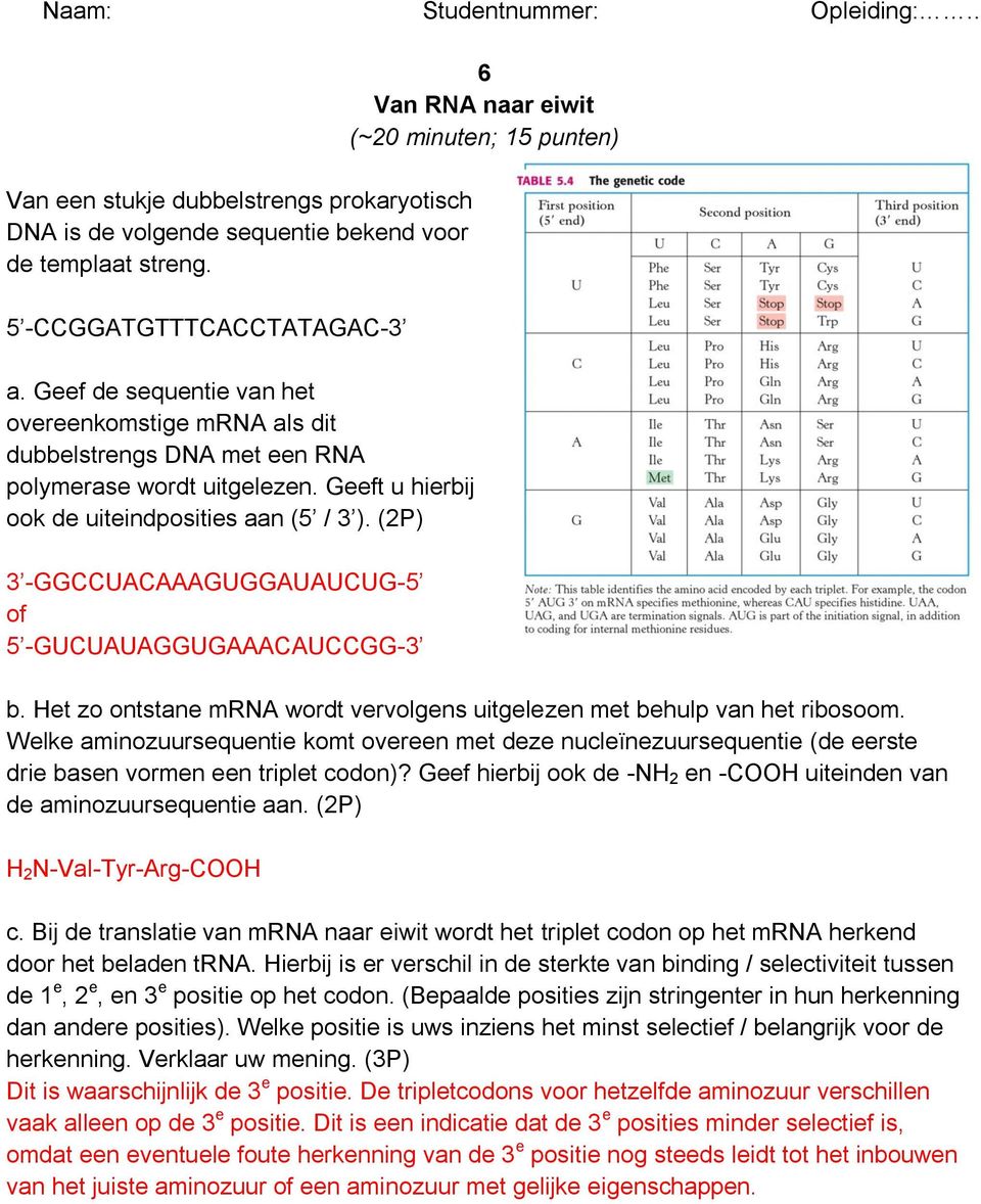 (2P) 3 -GGCCUACAAAGUGGAUAUCUG-5 of 5 -GUCUAUAGGUGAAACAUCCGG-3 6 Van RNA naar eiwit (~20 minuten; 15 punten) b. Het zo ontstane mrna wordt vervolgens uitgelezen met behulp van het ribosoom.