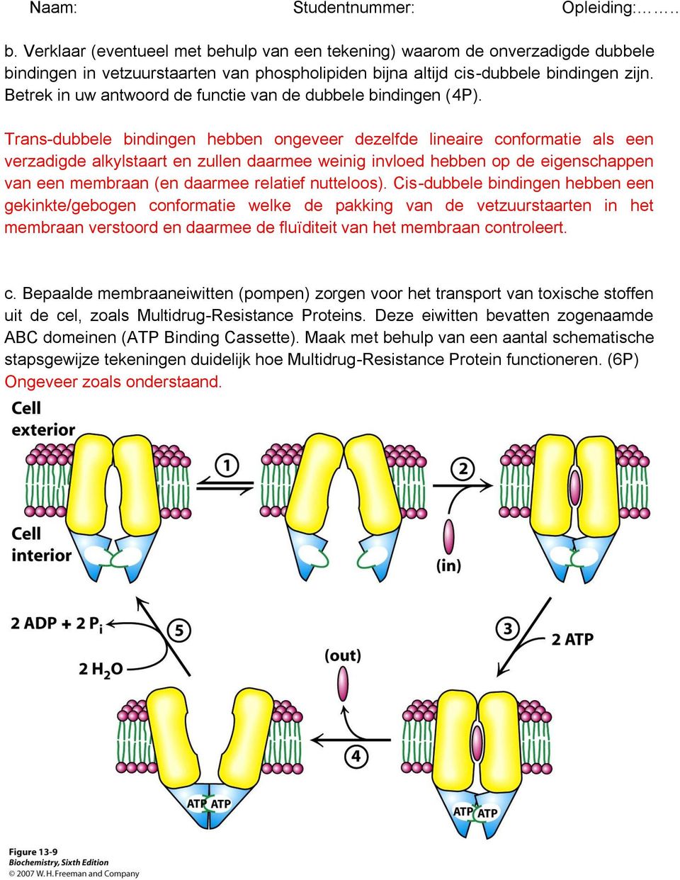 Trans-dubbele bindingen hebben ongeveer dezelfde lineaire conformatie als een verzadigde alkylstaart en zullen daarmee weinig invloed hebben op de eigenschappen van een membraan (en daarmee relatief