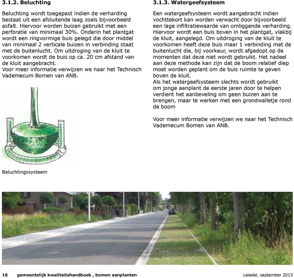 Om uitdroging van de kluit te voorkomen wordt de buis op ca. 20 cm afstand van de kluit aangebracht. Voor meer informatie verwijzen we naar het Technisch Vademecum Bomen van ANB. 3.