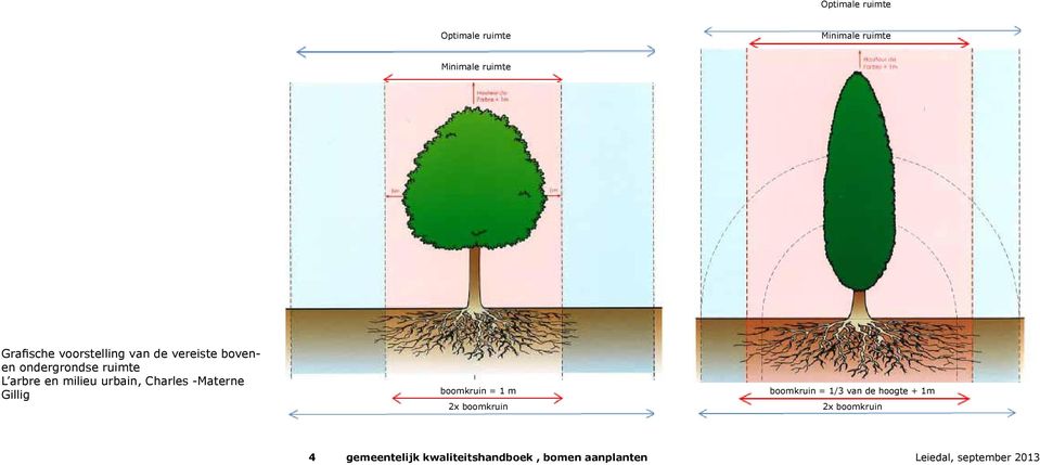 Charles -Materne Gillig boomkruin = 1 m 2x boomkruin boomkruin = 1/3 van de hoogte