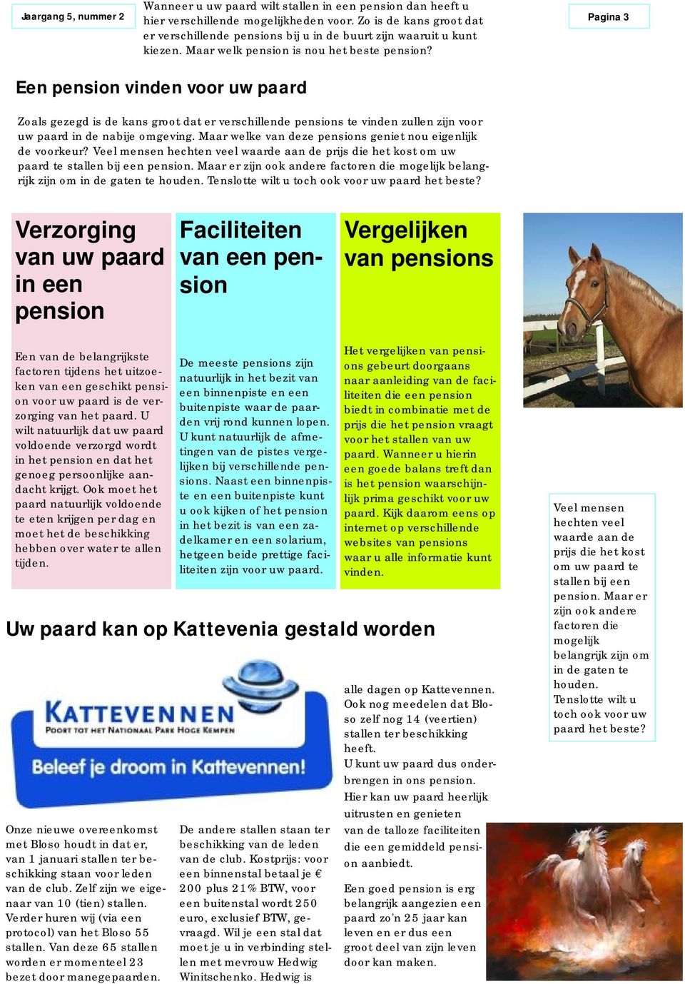 Pagina 3 Een pension vinden voor uw paard Zoals gezegd is de kans groot dat er verschillende pensions te vinden zullen zijn voor uw paard in de nabije omgeving.