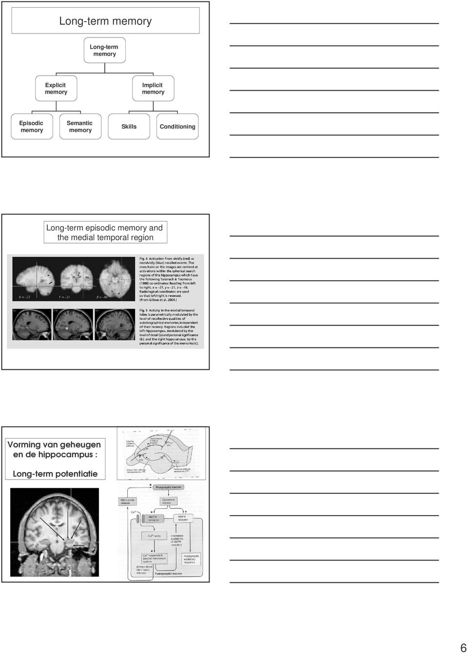 Long-term episodic memory and the medial temporal region