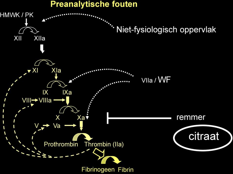 WF VIII IX VIIIa IXa V X Xa Va Prothrombin