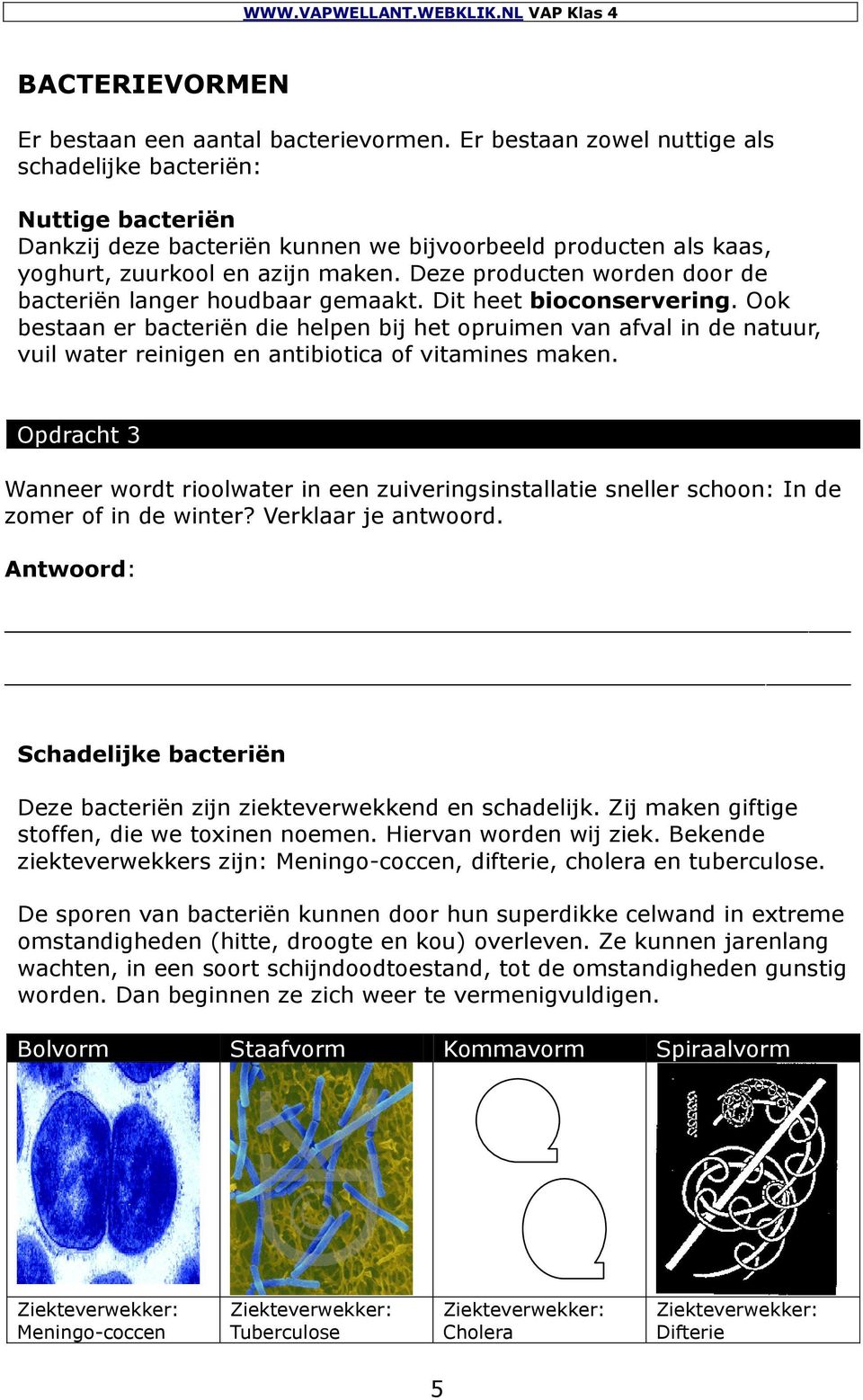 Deze producten worden door de bacteriën langer houdbaar gemaakt. Dit heet bioconservering.