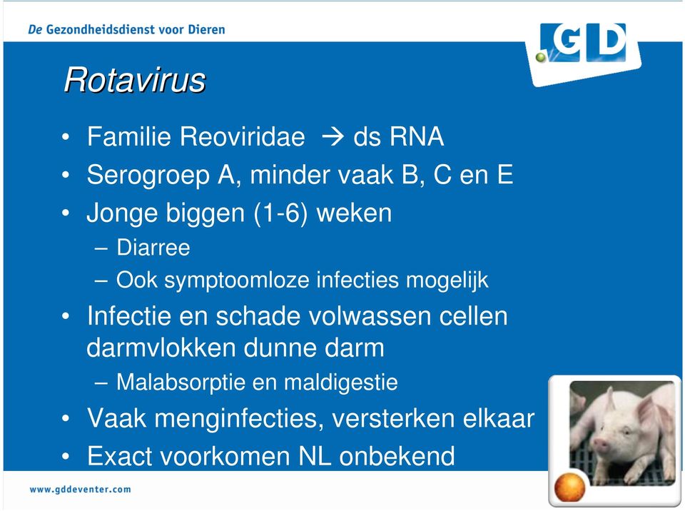 Infectie en schade volwassen cellen darmvlokken dunne darm Malabsorptie