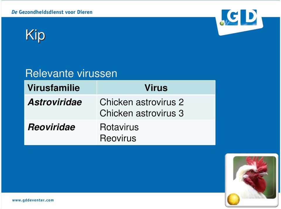 Chicken astrovirus 2 Chicken