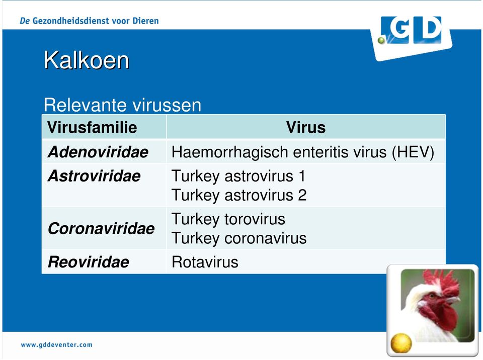 Astroviridae Turkey astrovirus 1 Turkey astrovirus 2