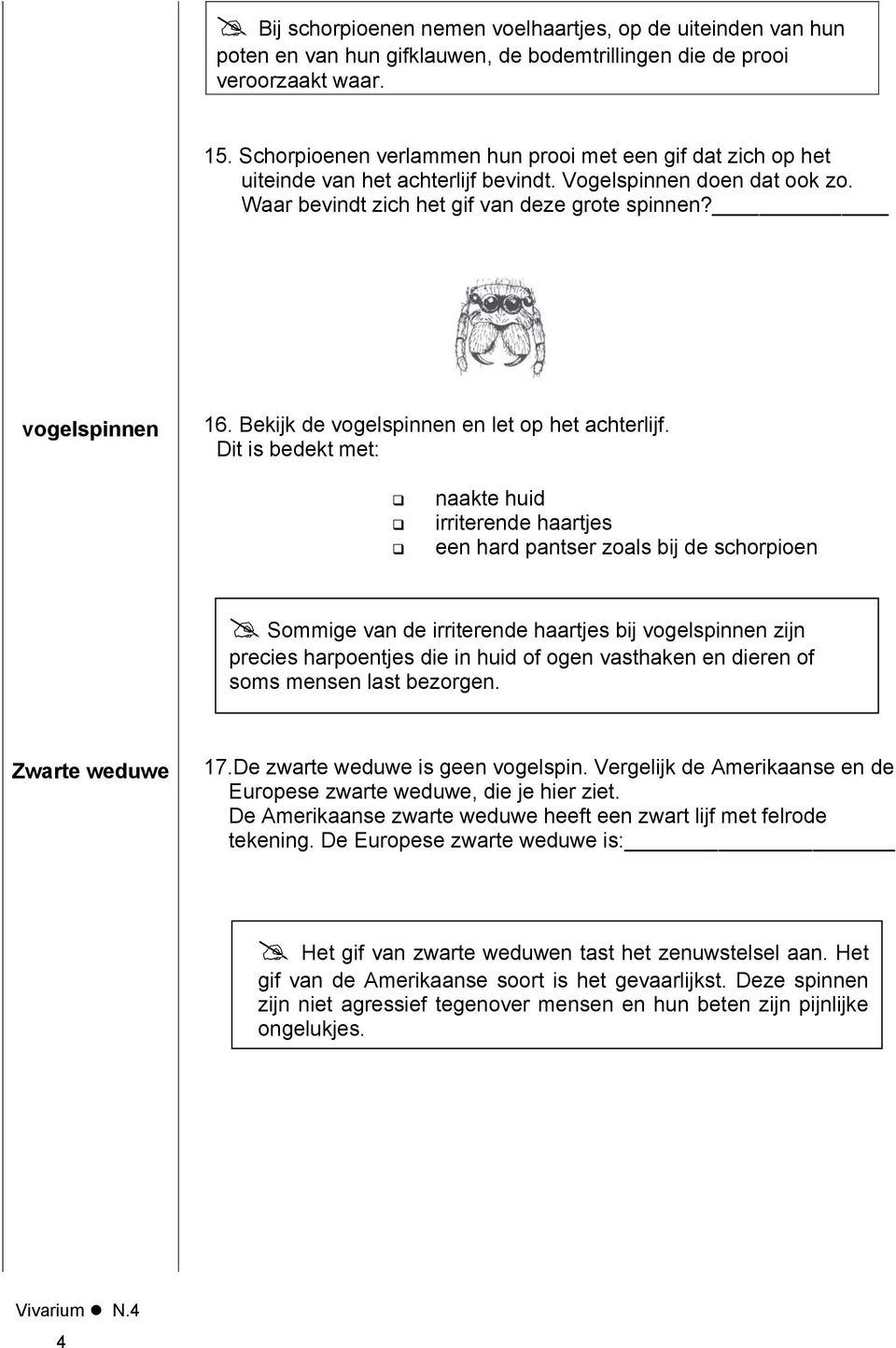 Bekijk de vogelspinnen en let op het achterlijf.