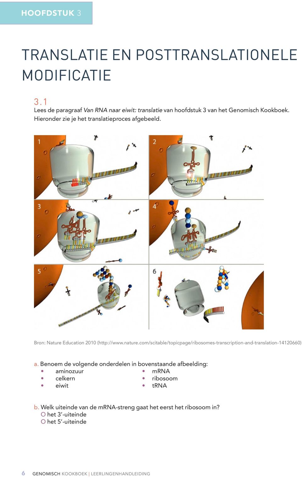 Bron: Nature Education 2010 (http://www.nature.com/scitable/topicpage/ribosomes-transcription-and-translation-14120660) a.