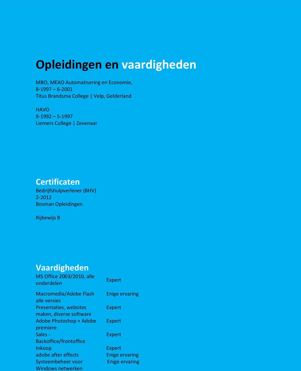 Vaardigheden MS Office 2003/2010, alle onderdelen Macromedia/Adobe Flash alle versies Presentaties, websites maken, diverse