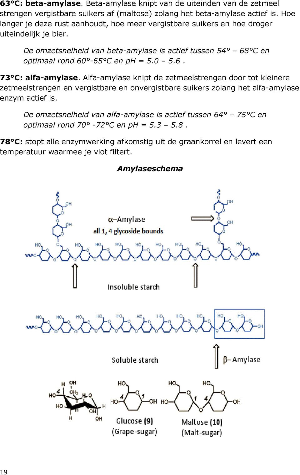 De omzetsnelheid van beta-amylase is actief tussen 54 68 C en optimaal rond 60-65 C en ph = 5.0 5.6. 73 C: alfa-amylase.