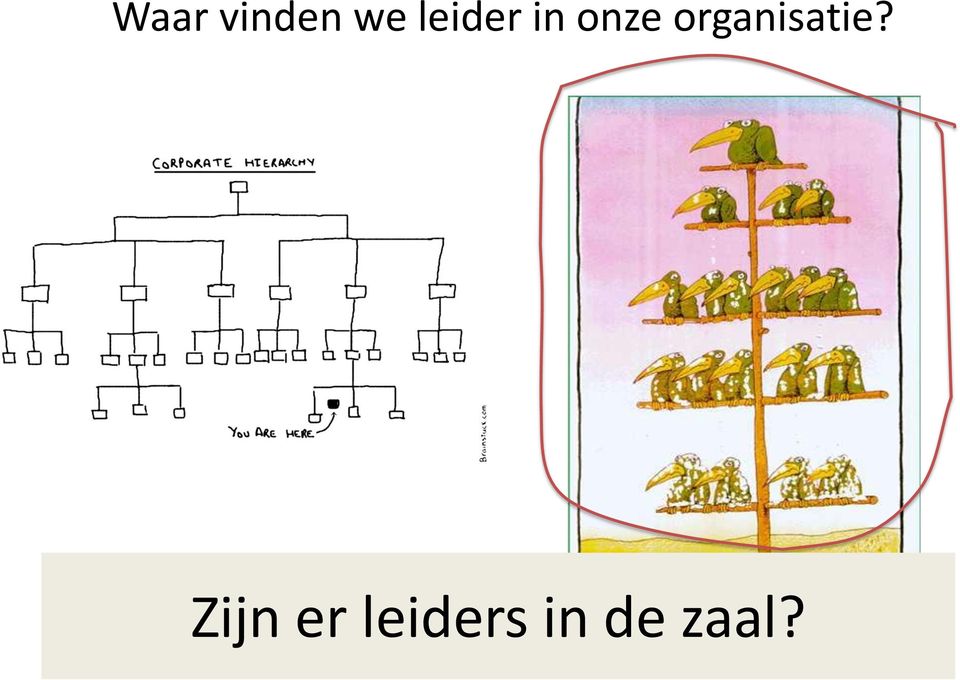 organisatie?