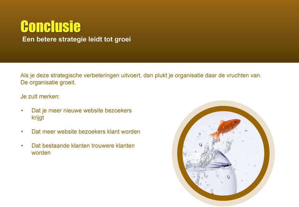 De organisatie groeit.