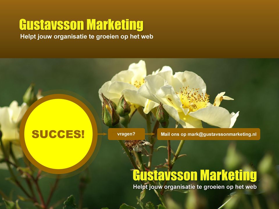 Mail ons op mark@gustavssonmarketing.