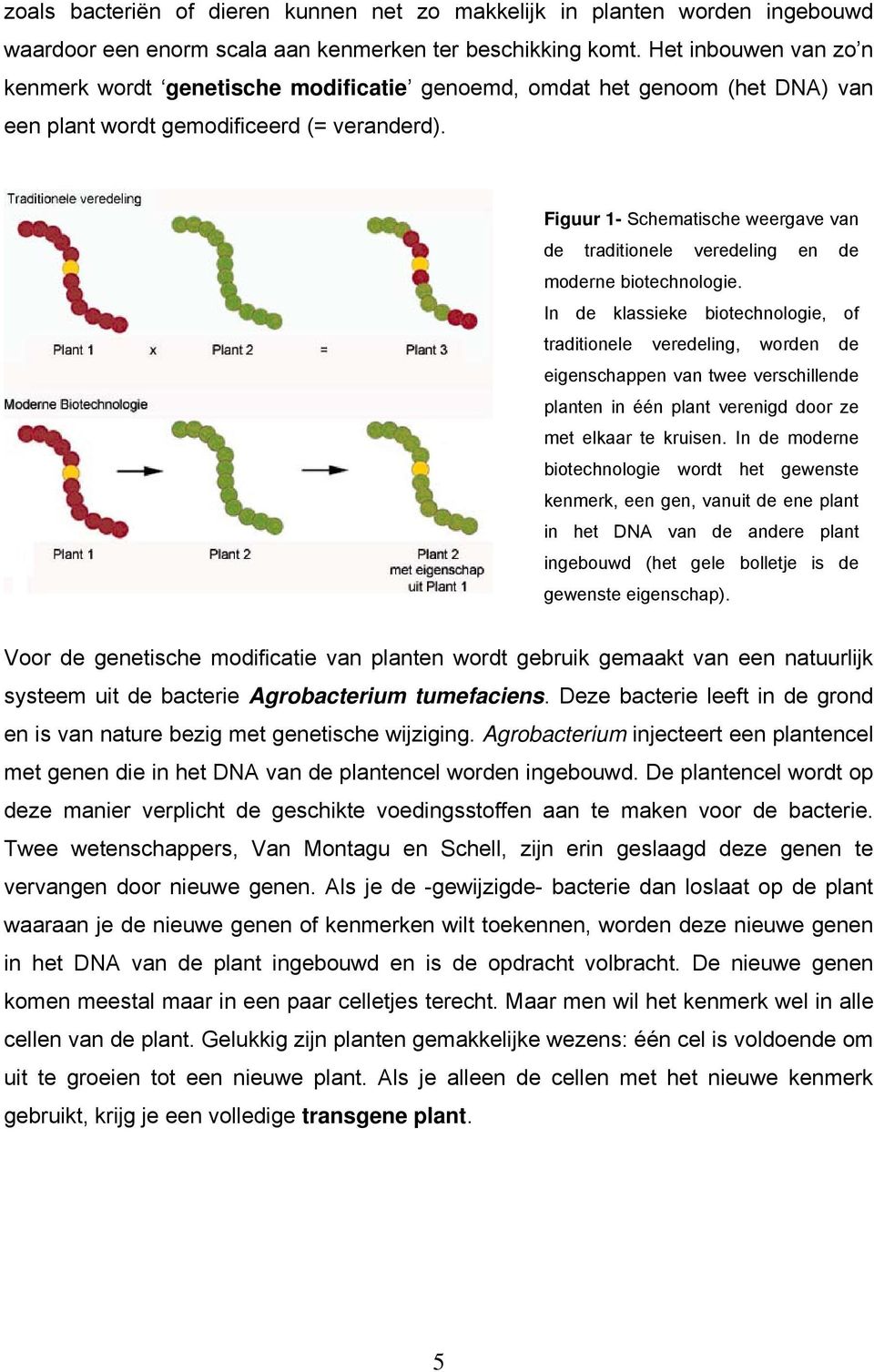 Figuur 1- Schematische weergave van de traditionele veredeling en de moderne biotechnologie.